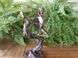 Коллекционная статуэтка Veronese Гимнаст WU74451A4
