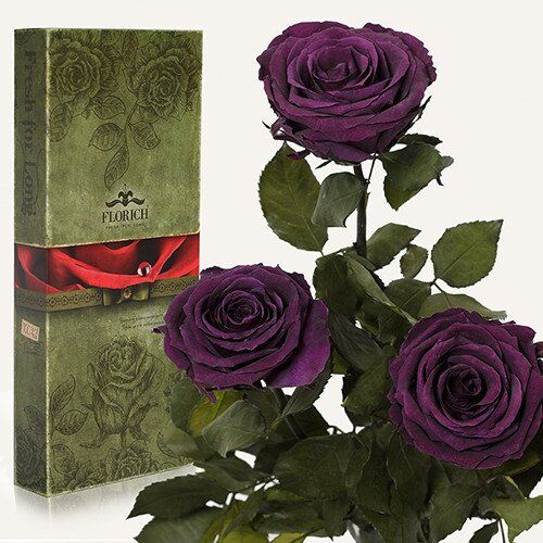 Долгосвежие розы Фиолетовый аметист, букет с 3 шт 40 см
