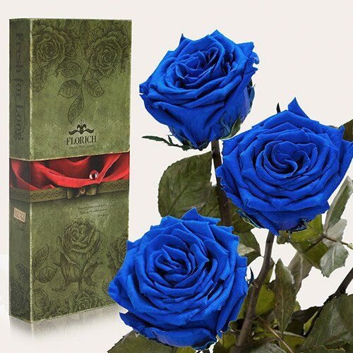 Довгосвіжі Троянди Синій Сапфір, Букет з 3 Шт 40 См