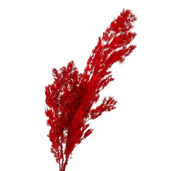 Роголистник Красный, стабилизированный (8213-062)
