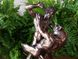Коллекционная статуэтка Veronese Тезей и Минотавр WU73130A4