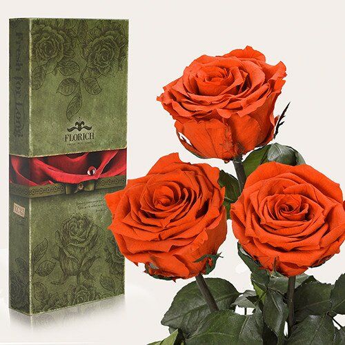 Долгосвежие розы Огненный янтарь, букет с 3 шт 25 см